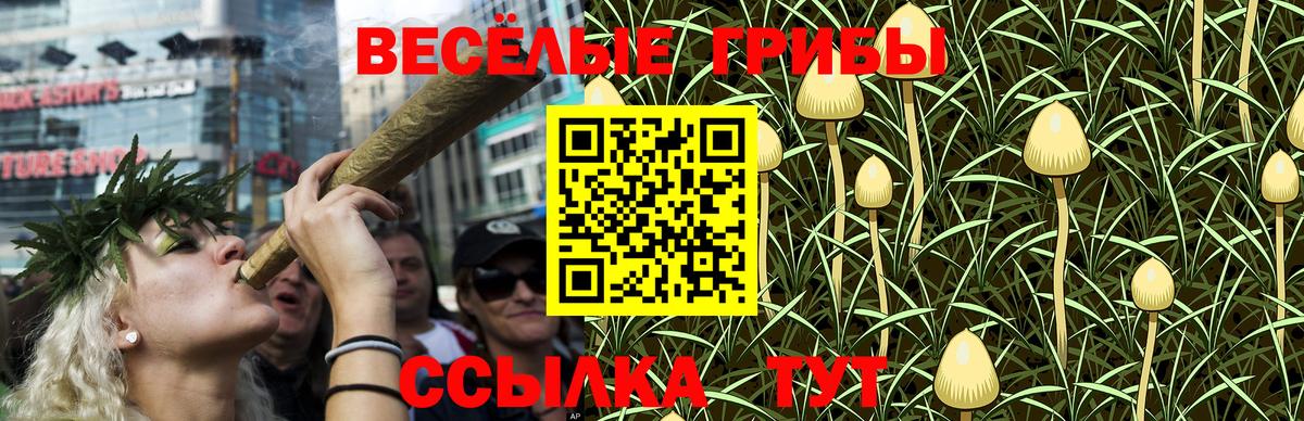 Галлюциногенные грибы прущие грибы Бирск