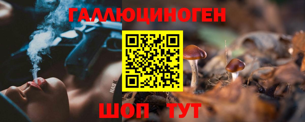 Галлюциногенные грибы Cubensis  Вход с VPN  Бирск 